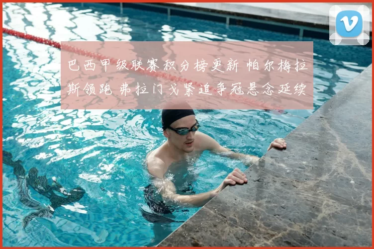 巴西甲级联赛积分榜更新 帕尔梅拉斯领跑 弗拉门戈紧追争冠悬念延续